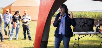 Sphenophorus levis continua sendo o terror dos produtores de cana