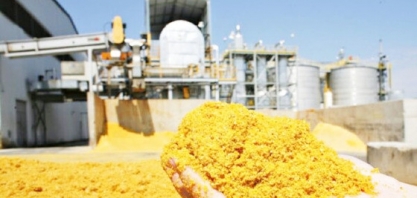 Etanol de milho se torna um dos pilares do agro de MT