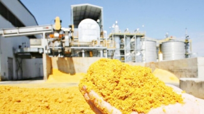 Etanol de milho se torna um dos pilares do agro de MT