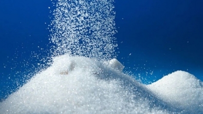 Queda nos preços do açúcar e dólar fraco criam cenário desafiador para o setor sucroenergético