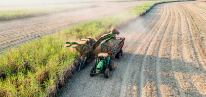 Zilor alcança receita líquida recorde de R$ 3,7 bilhões impulsionada por eficiência operacional e mix açucareiro
