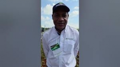 Microgeo apresenta soluções biológicas para revitalização do solo no Cana Show – IAC