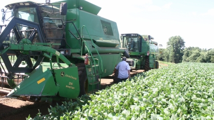 Tarifas anunciadas pelos EUA ameaçam previsibilidade contratual e o equilíbrio financeiro do agronegócio