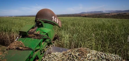 Produtividade ainda é incerteza na safra 2025/26 de cana, diz Itaú BBA