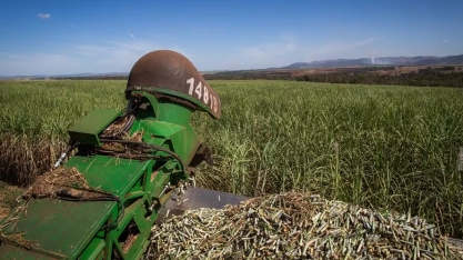 Produtividade ainda é incerteza na safra 2025/26 de cana, diz Itaú BBA
