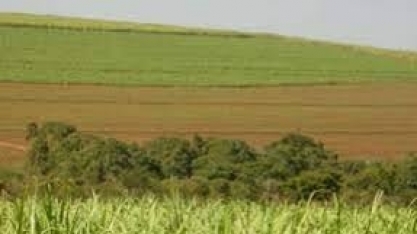 RenovaBio: ANP vai publicar no dia 21 de julho lista de sanções a distribuidores de combustíveis inadimplentes com as metas