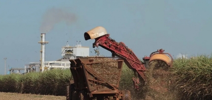 Justiça de SP abre espaço para revisão de ICMS pago por usinas em 2023
