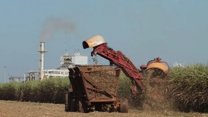 Justiça de SP abre espaço para revisão de ICMS pago por usinas em 2023