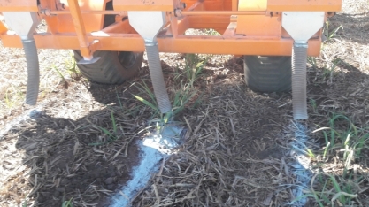 Entregas de fertilizantes cresceram 10,7%no primeiro quadrimestre de 2025