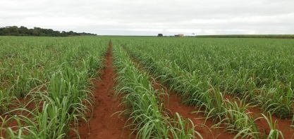 Jornada pela recuperação da produtividade agrícola passa, obrigatoriamente, pela irrigação