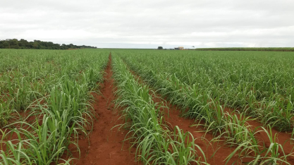 Jornada pela recuperação da produtividade agrícola passa, obrigatoriamente, pela irrigação