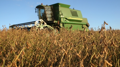 Soja e biodiesel devem impulsionar o PIB do agronegócio com expansão histórica em 2025