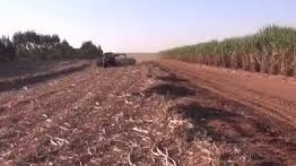 Por que não um LRCap exclusivo para as biotérmicas?