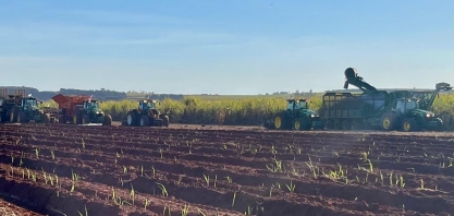 Moagem no Centro-Sul atinge 206,2 milhões de toneladas