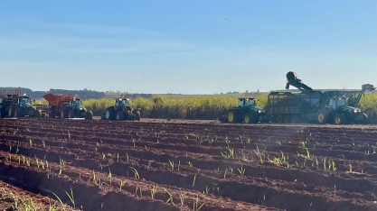 Moagem no Centro-Sul atinge 206,2 milhões de toneladas