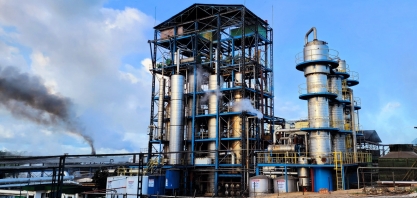 Pindorama inicia safra mais cedo com produção recorde de etanol de sorgo
