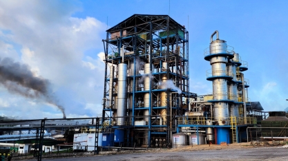 Pindorama inicia safra mais cedo com produção recorde de etanol de sorgo