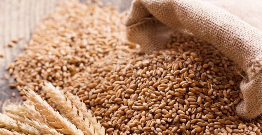 Foto: Broadcast Agro