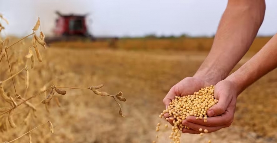 Para todos os segmentos da cadeia da soja e biodiesel os prognósticos são otimista em 2025 — Foto: Getty Images