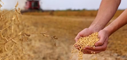 PIB da cadeia da soja e do biodiesel deve crescer 11% no Brasil neste ano