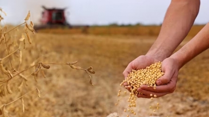 PIB da cadeia da soja e do biodiesel deve crescer 11% no Brasil neste ano