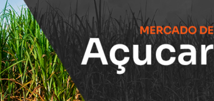 O cachorro de Pavlov