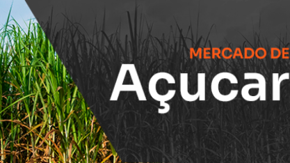 O cachorro de Pavlov