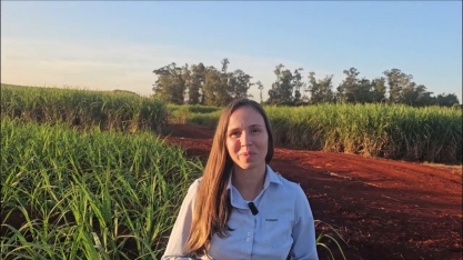 Cana Show-IAC2025 supera as expectativas da Koppert