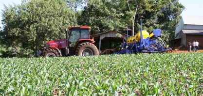 Paraná pode produzir até 6,2 milhões de litros de etanol de milho, quase o dobro do Mato Grosso