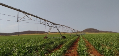 Não existe sistema de irrigação ideal. Escolha da tecnologia deve levar em consideração tipo de clima, solo e condições econômicas