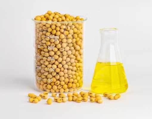 Demanda por biodiesel está crescendo acima dos projetos de investimento — Foto: GettyImages