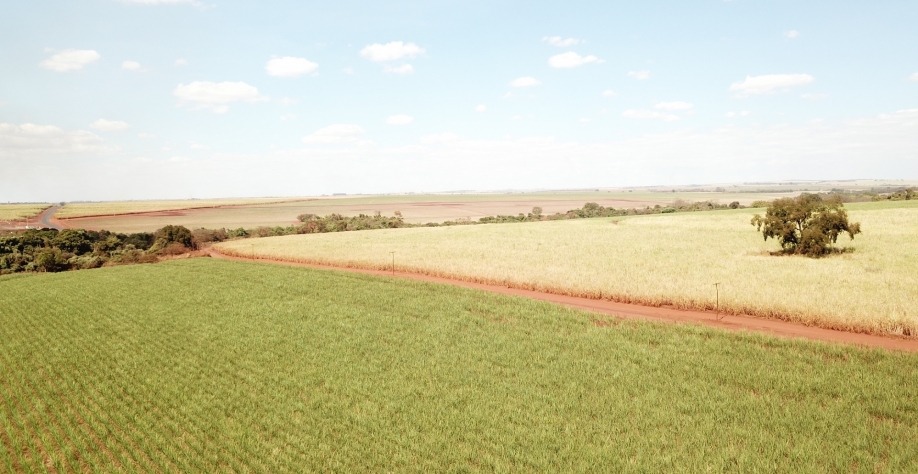 Utilizar um único sistema para irrigar grande parte da área é uma tarefa complicada. Foto: Divulgação Netafim