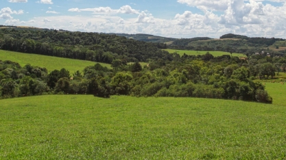 Sistema FAEP avalia como positivo projeto que flexibiliza licenciamento ambiental