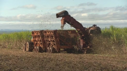 Tarifaço de Trump pode impactar indústria pernambucana de cana-de-açúcar, uvas e aço
