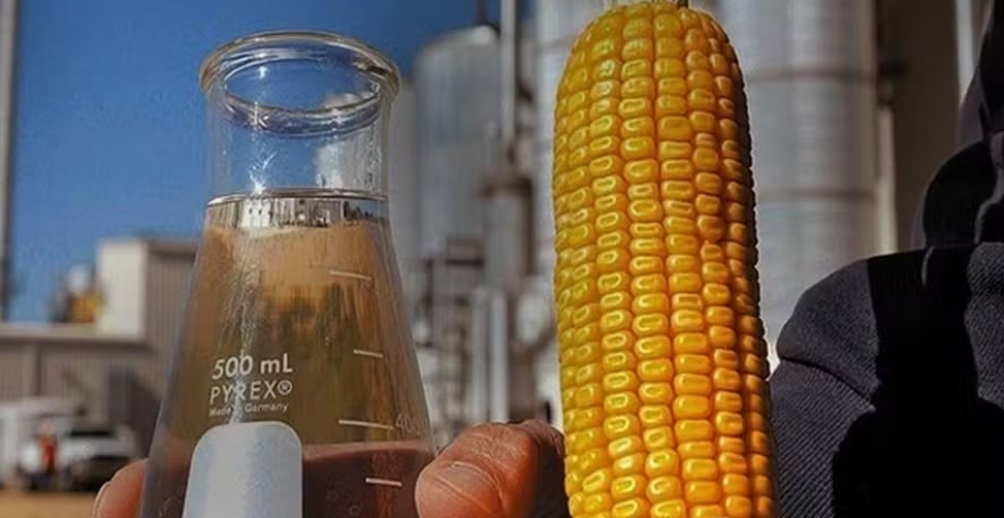 EUA abrem canais para escoar o excedente de produção de etanol americano e também o de DDG, coproduto do processamento do milho — Foto: CNA/Divulgação