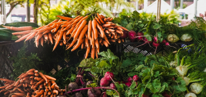 Agronegócio lidera ações contra a fome, mas estudo revela que ainda falta foco nos territórios mais vulneráveis e na cadeia completa dos alimentos