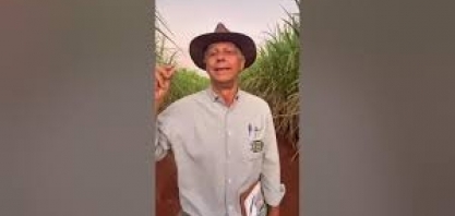 4o encontro de variedades da Fazenda Parreiro Diamante discute o futuro da produção de cana