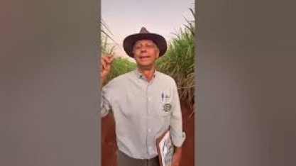 4o encontro de variedades da Fazenda Parreiro Diamante discute o futuro da produção de cana