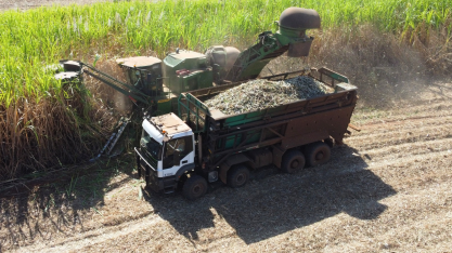 Clealco reporta lucro líquido pela quinta safra consecutiva com resultado de R$ 170 milhões em 24/25 e acumulado que supera R$ 1,1 bi