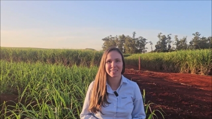 Koppert apresentou suas soluções biológicas no Cana Show-IAC2025