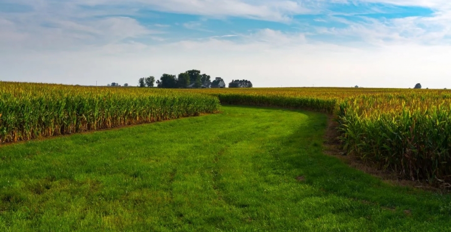 Imposto sobre a Propriedade Territorial Rural (ITR) é calculado a partir da declaração | Foto: Adobe Stock