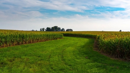 ITR 2025: entrega começa em agosto com novidades