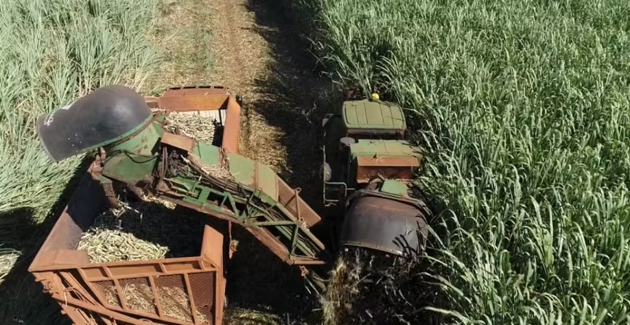 Brasil é o principal fornecedor de açúcar orgânico aos EUA. — Foto: Reprodução EPTV