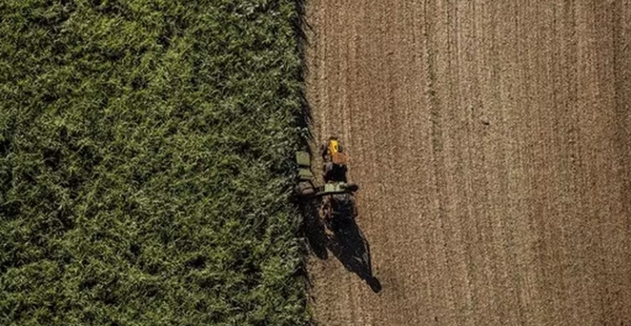 Distribuidoras alegaram sanção desproporcional com lista que seria seria divulgada pela ANP — Foto: Globo Rural