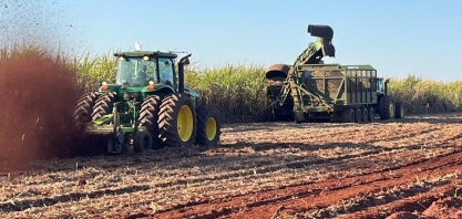 Safra 2025/26: Açúcar em alta global e etanol em xeque desafiam o agro brasileiro
