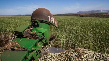 Condições climáticas adversas reduzem safra 2025-2026 de cana na região Centro-Sul