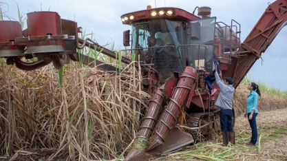 Cerradão promove Feirão de Emprego com diversas vagas em Sertãozinho-SP