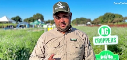 AG Croppers, com suas culturas de cobertura, chamou a atenção no Cana Show-IAC 2025