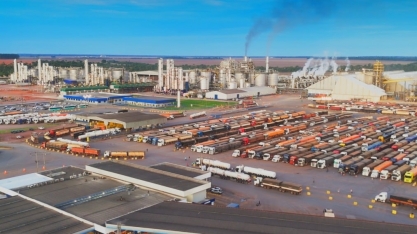 Produção de sorgo cresce e ganha protagonismo para mercado de biocombustíveis na Bahia