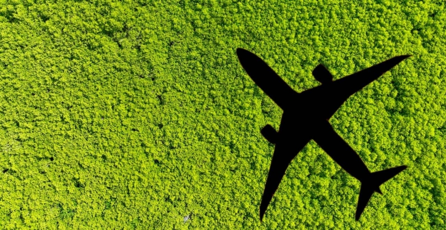 (iStock.com/Fahroni